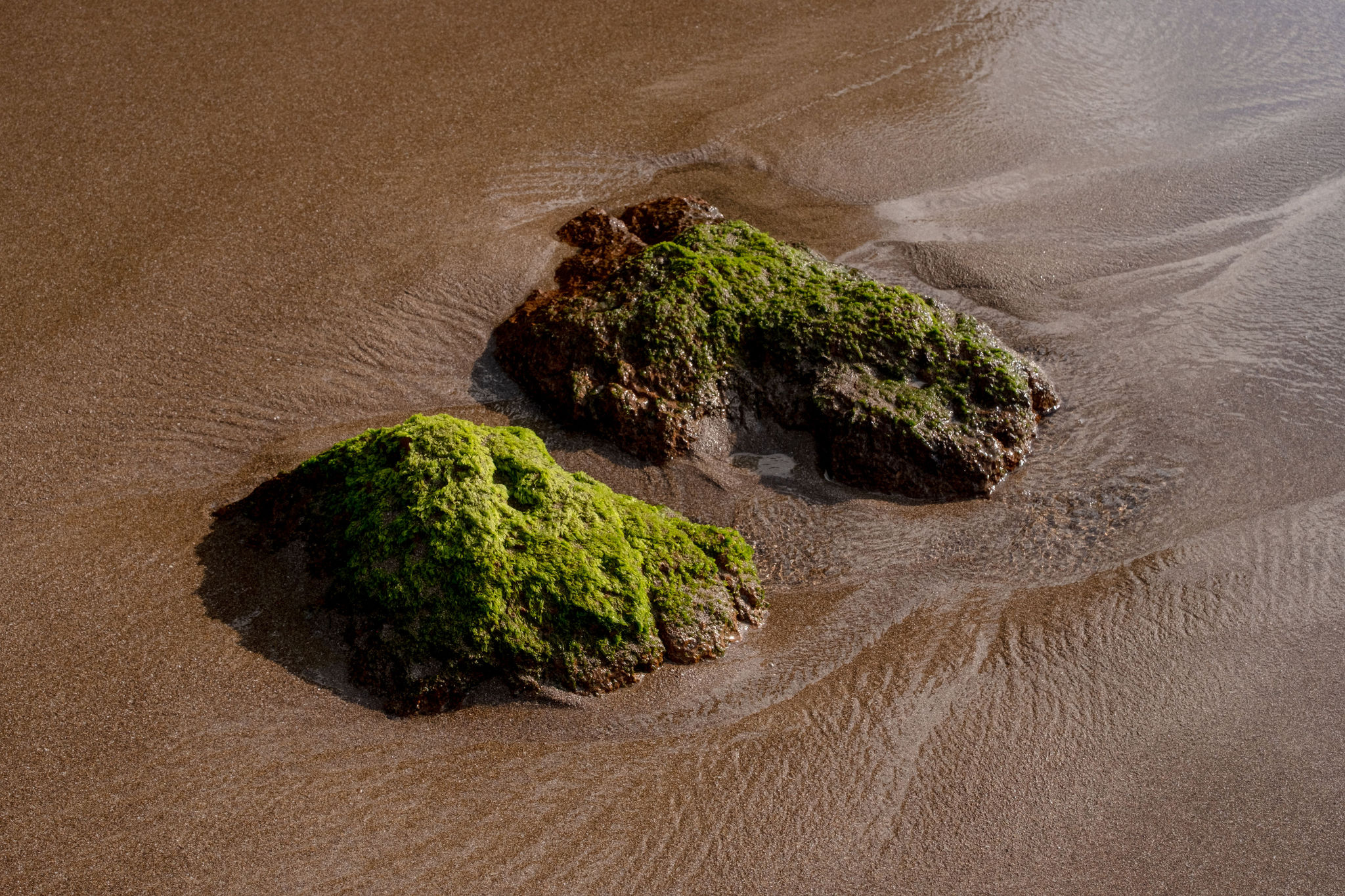 Moss covered rocks on beach